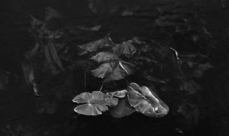 Patrick Kuhn