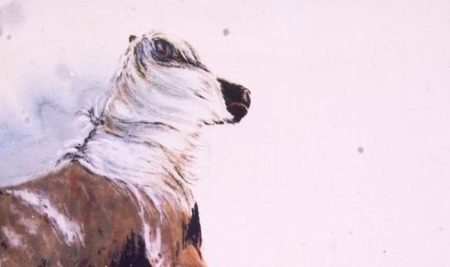 Danse avec le vent…