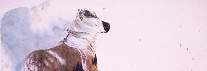 Danse avec le vent…