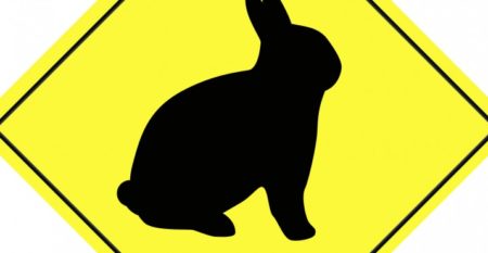 Lapin-Noir-800×370