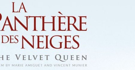 la_panthère_des_neiges_affiche-300-870300