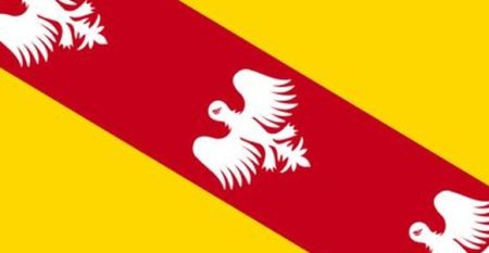 histoire de la lorraine-drapeau-300-870300